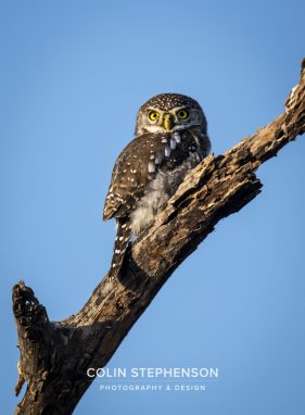 Environmental photographer Africa