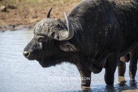 Environmental photographer Africa