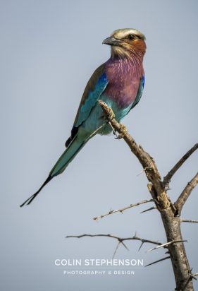 Environmental photographer Africa