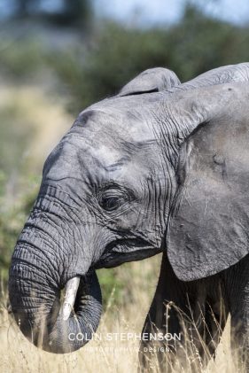 Environmental photographer Africa
