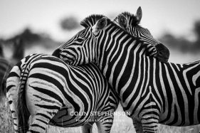 Environmental photographer Africa
