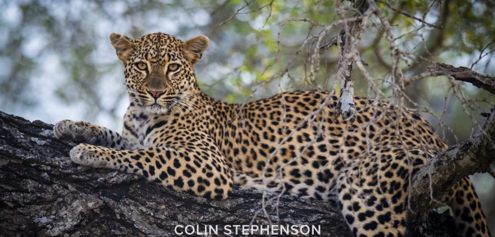 Environmental photographer Africa