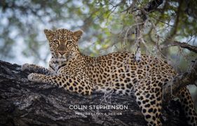 Environmental photographer Africa