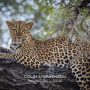 Environmental photographer Africa