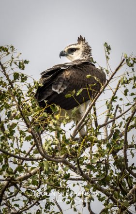 Environmental photographer Africa