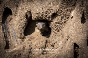 Environmental photographer Africa