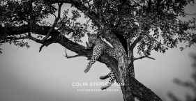 Environmental photographer Africa