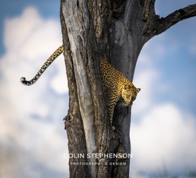 Environmental photographer Africa