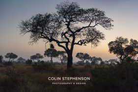 Environmental photographer Africa