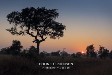 Environmental photographer Africa