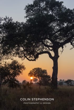 Environmental photographer Africa