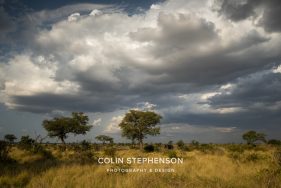 Environmental photographer Africa