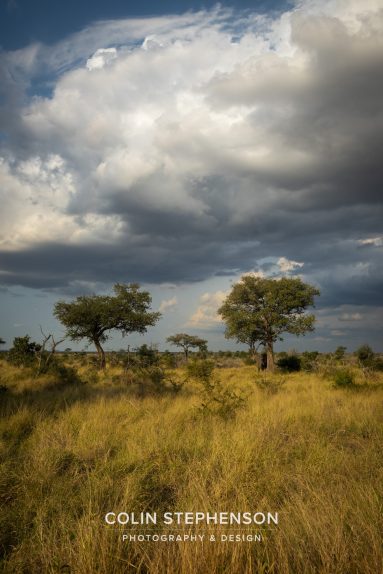 Environmental photographer Africa