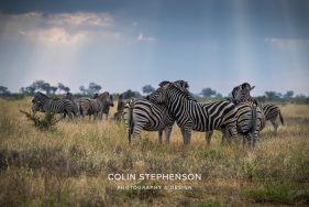Environmental photographer Africa