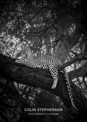 Environmental photographer Africa