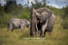 Environmental photographer Africa
