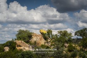 Environmental photographer Africa