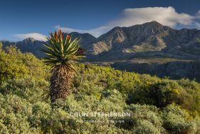 Swartberg Photography Tour