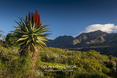 Swartberg Photography Tour