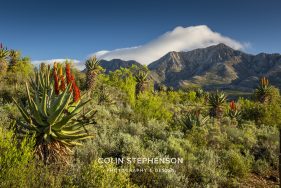 Swartberg Photography Tour