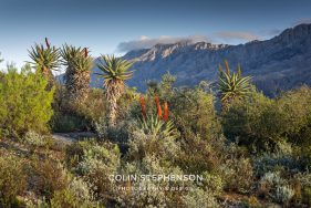 Swartberg Photography Tour
