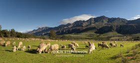 Swartberg Photography Tour