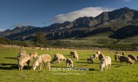 Swartberg Photography Tour
