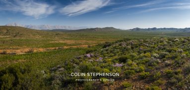 Rietkraal Nature Reserve environmental photography South Africa