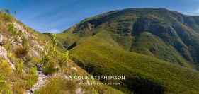 Environmental photographer Africa