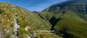 Environmental photographer Africa