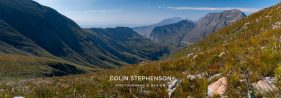 Environmental photographer Africa