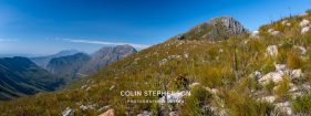 Environmental photographer Africa