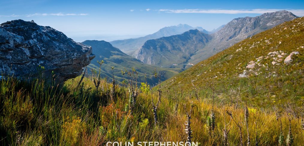 Environmental photographer Africa