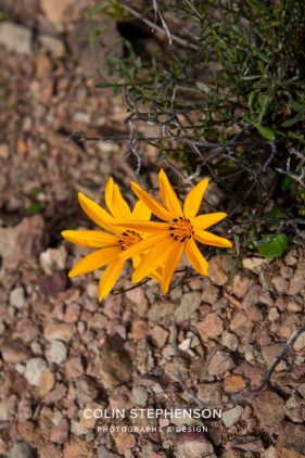 Environmental photography South Africa