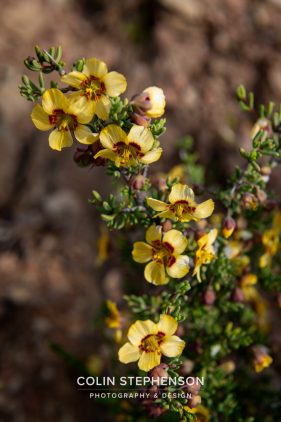 Environmental photography South Africa