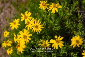 Rietkraal Nature Reserve environmental photography South Africa
