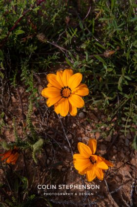 Environmental photography South Africa