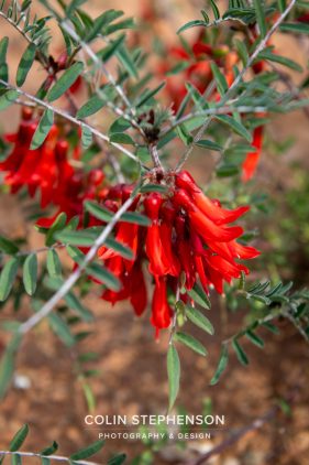 Environmental photography South Africa