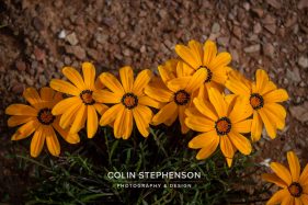 Environmental photography South Africa
