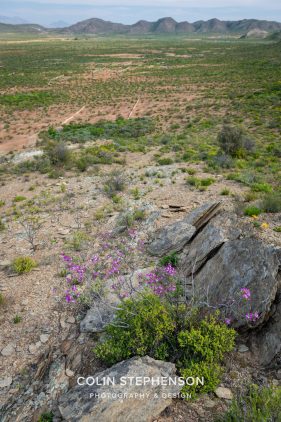 Environmental photography South Africa
