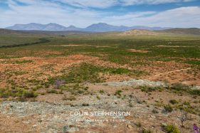 Environmental photography South Africa