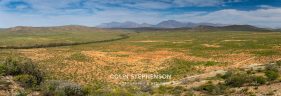 Environmental photography South Africa