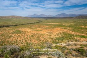 Environmental photography South Africa