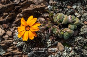 Environmental photography South Africa