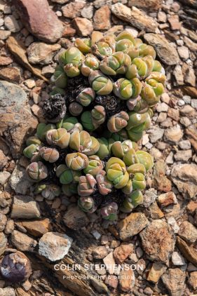 Environmental photography South Africa