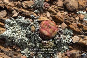Environmental photography South Africa