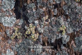 Environmental photography South Africa