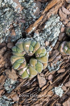 Environmental photography South Africa