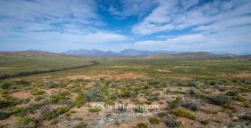 Environmental photography South Africa