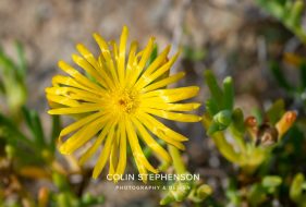 Environmental photography South Africa